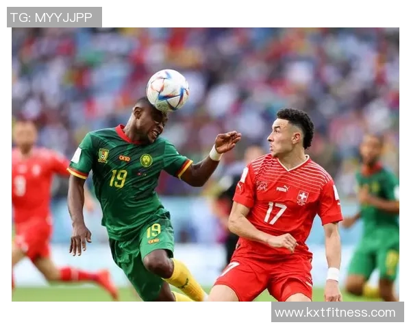 瑞典与瑞士比赛赔付率分析及其影响因素探讨